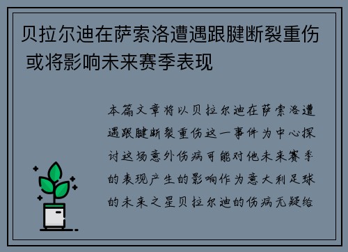 贝拉尔迪在萨索洛遭遇跟腱断裂重伤 或将影响未来赛季表现
